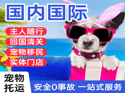喀什徕宁航空快运国际宠物托运 【国